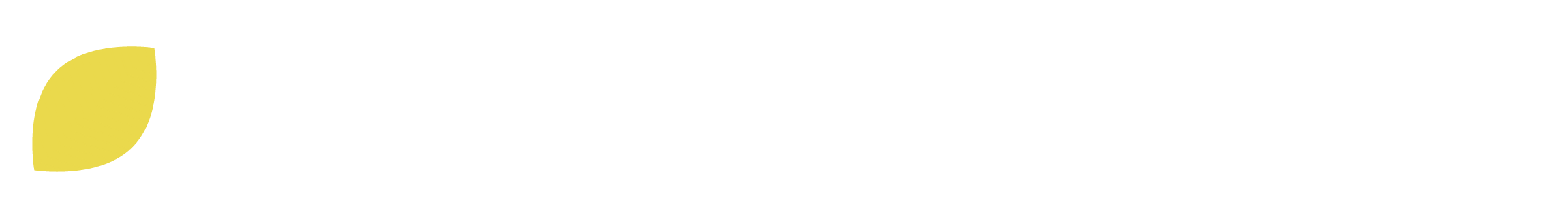 Vine Strategies Logo & Branding (19)
